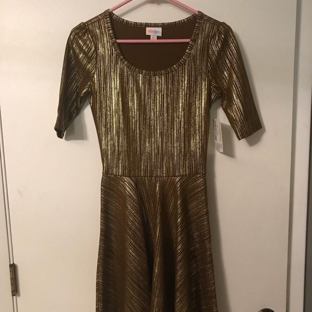 Brand new with tags Nicole Dress